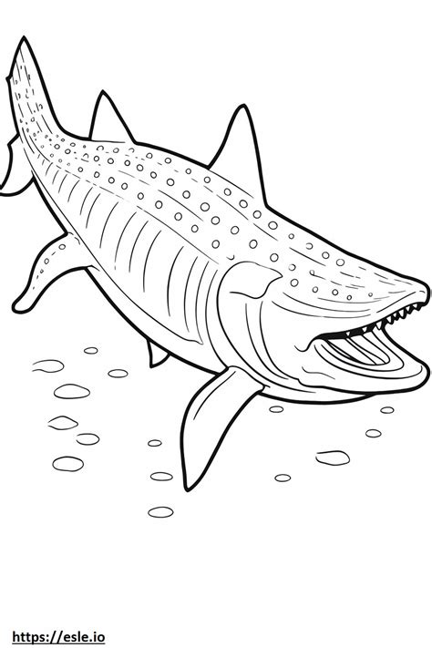 Whale Shark full body coloring page