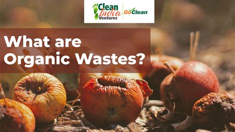 What are Organic Wastes?