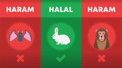 Halal and Haram Animals in Islam - YouTube