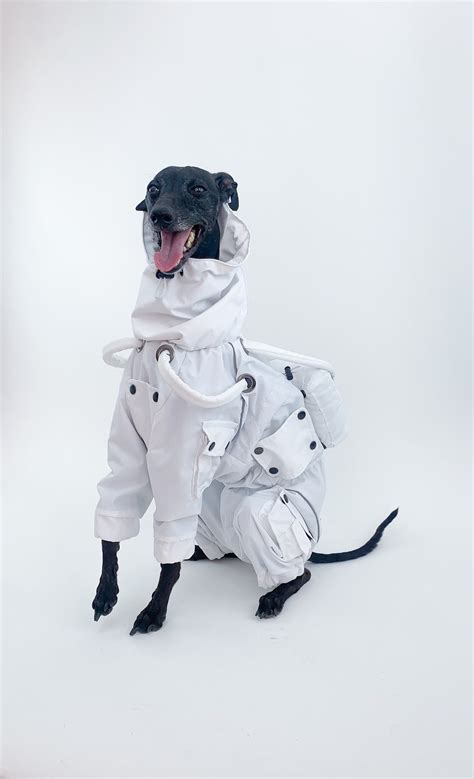 Astronaut Dog Costume Spaceman Halloween Costume Body Suit - Etsy