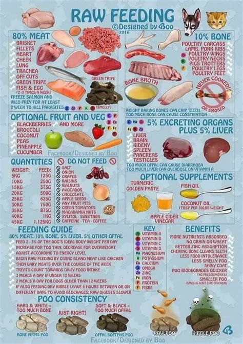 Road's End Papillons : Menu, Items, for Raw Meat Diet & Raw Meaty Bones ...