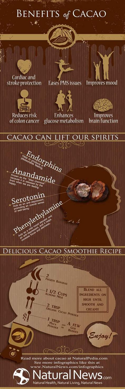 Benefits of Cacao | Cacao benefits, Health and nutrition, Health