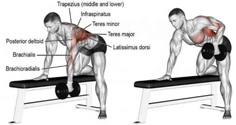 Single-Arm Dumbbell Row: How To, Benefits, Muscles Worked, Variations