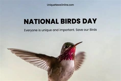 National Bird Day 2024 Theme, Slogans, Quotes, Images, Messages ...