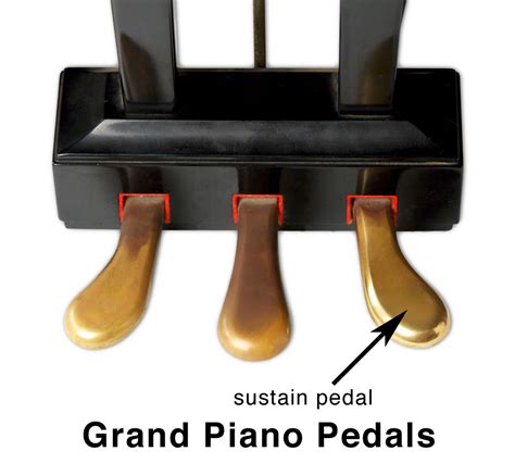 Collection 98+ Pictures What Are The Foot Pedals On A Piano For Full HD, 2k, 4k