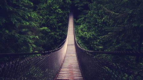 HD wallpaper: lynn canyon park, canada, forest, suspension bridge, wood, trees | Wallpaper Flare