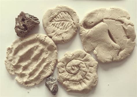 Homemade Fossils