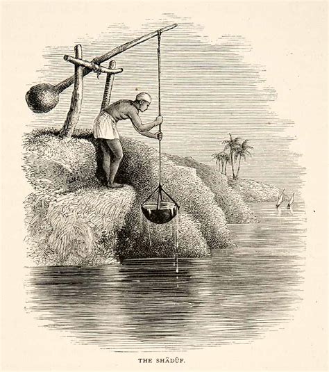 1891 Wood Engraving Shaduf Shadoof Swape Nile River Water Instrument ...