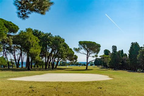 Green Trees on a Golf Course · Free Stock Photo