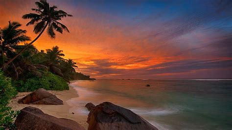 Sunset at La Digue Island, Seychelles, beach, sea, palm tree, landscape ...