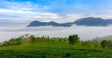 Take A Winter Break in Ooty, Tamil Nadu | Femina.in