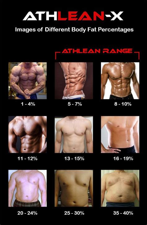 How much body fat is needed to lose to see your abs? Experts can answer ...