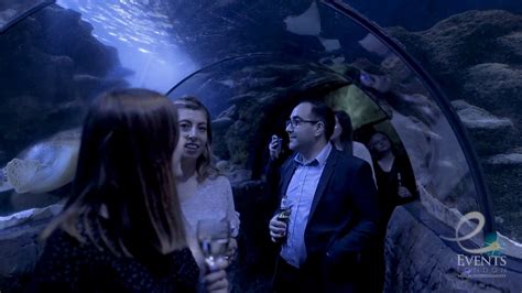 Rainforest Launch Event at SEA LIFE London Aquarium - Full Video - YouTube