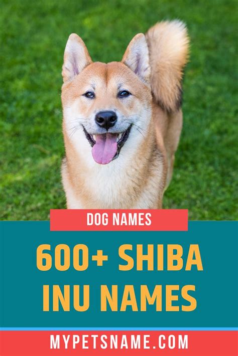 Shiba Inu Names | Shiba inu, Puppy names, Dog names