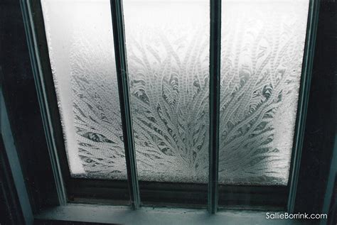 Beyond Anything We've Ever Seen - Window Frost - SallieBorrink.com