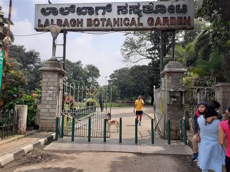 Lalbagh Botanical Garden Blog: Stunning Greens of the City 2022