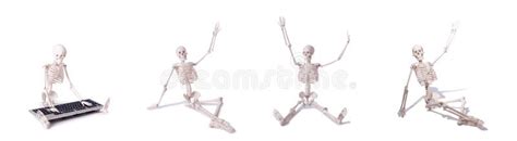 494 Computer Halloween Skeleton Stock Photos - Free & Royalty-Free Stock Photos from Dreamstime