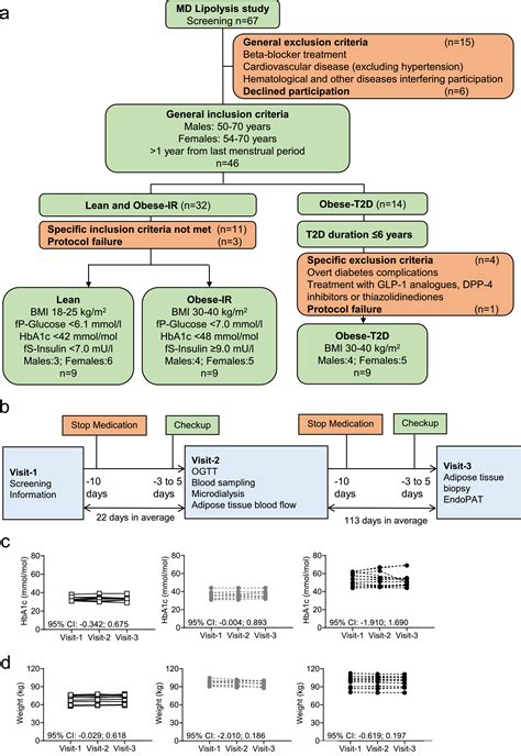 Hyperinsulinemia and insulin resistance in the obese may develop as ...