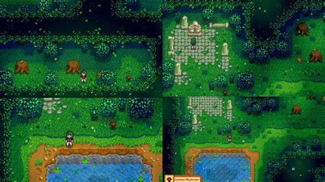 Stardew Valley Secret Woods: 6 Interesting Things To Do