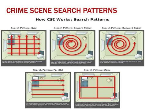 PPT - Crime Scene Documentation PowerPoint Presentation - ID:6114335