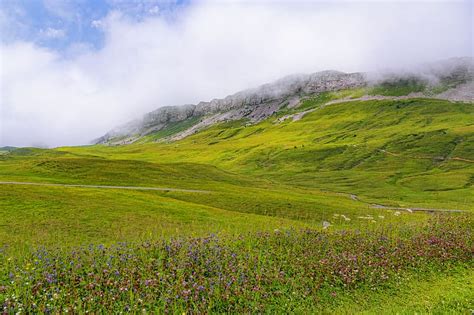 Valley, flowers, grass, mountains, landscape, HD wallpaper | Peakpx