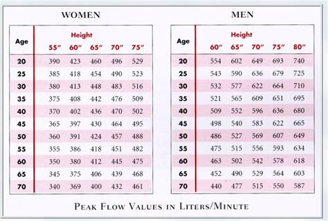 Peak flow normal values – emupdates