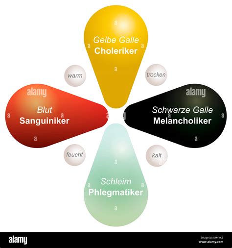 List 96+ Images Personality Types Sanguine Choleric Melancholic And Phlegmatic Completed