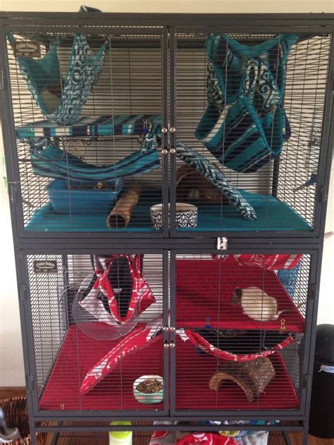 Cool Critter Nation cage setup. I love the fleece patterns and layouts ...