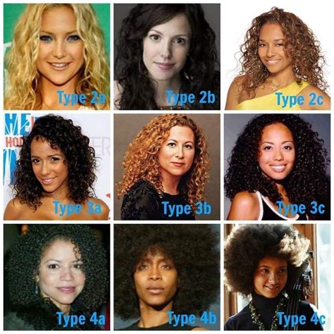 natural hair types | Natural hair types, Hair type chart, Curly hair types