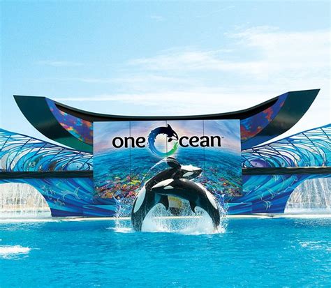 One Ocean at SeaWorld | Sea world, Mundo do mar, Parques orlando