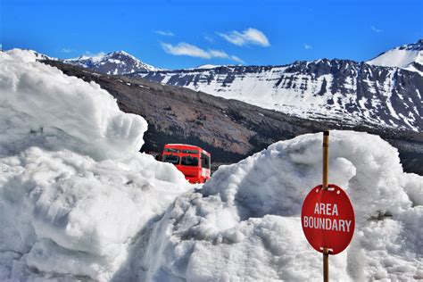 Columbia Icefields Glacier Adventure | Venture Wild