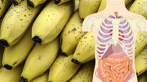 9 Surprising Health Benefits of Eating Overripe Bananas