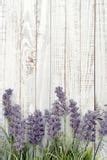 Lavender Bouquet Stock Photos - Image: 34595573