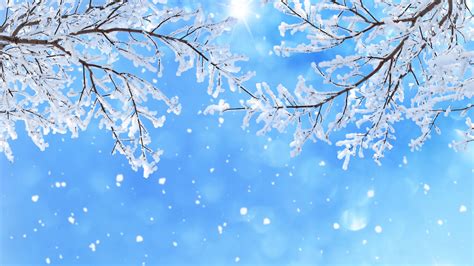 Snowflake Branch In Snowfall 4K 5K HD Snowflake Wallpapers | HD ...