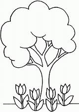 Tree Coloring Pages Free  Home sketch template