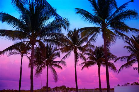 Miami Beach South Beach sunset palm trees in Ocean Drive Florida ...