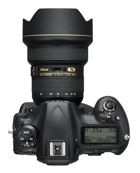 The Nikon D6: What You Can Expect from Nikon's Future Flagship DSLR