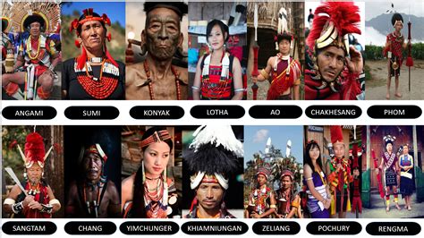 Nagaland Tribes | India poster, Nagaland, Tribe