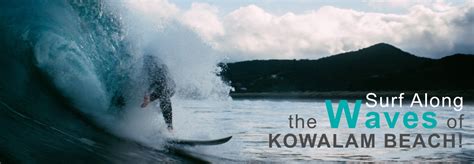 Kovalam Beach in Kerala, Surfing, How to Reach, Restaurants