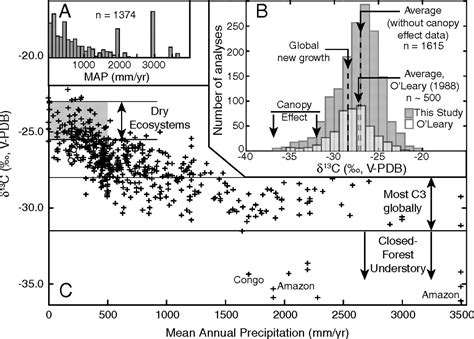 Carbon isotope compositions of terrestrial C3 plants as indicators of (paleo)ecology and (paleo ...