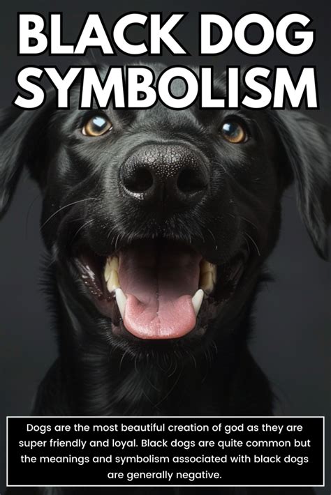 Black Dog Meaning and Symbolism (Depression and Conflict)