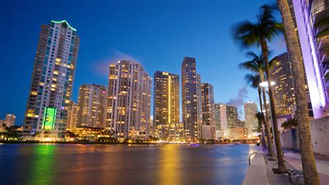 Miami Skyline Wallpaper