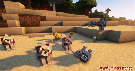 Pet Names Mod (1.19.2, 1.18.2) - Make Pets More Memorable - Mc-Mod.Net