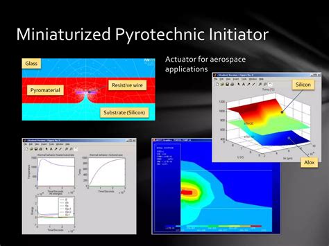 Microsatellite design | PPT