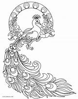 Printable Peacock Coloring Pages For Kids sketch template