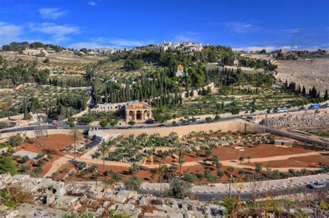 Mount of Olives │Israel │Holy Land Tour │Holy Land Tourism│ Holy Land.