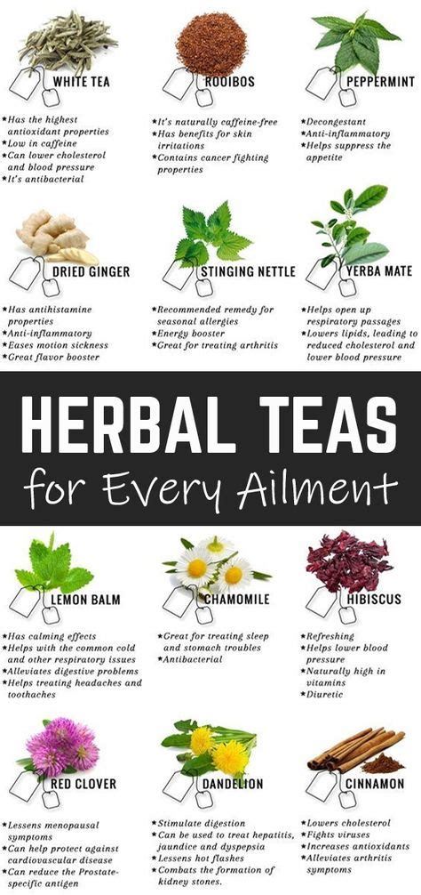 Herbal Tea Recipes Pdf