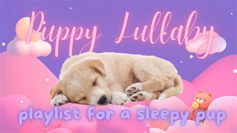 Relaxing Lullabies for Puppies and Dogs: Soothing Music for a Calm and ...