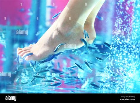 Pedicure fish spa - rufa garra Stock Photo - Alamy