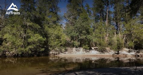 Best Trails in Blackwater River State Forest - Florida | AllTrails